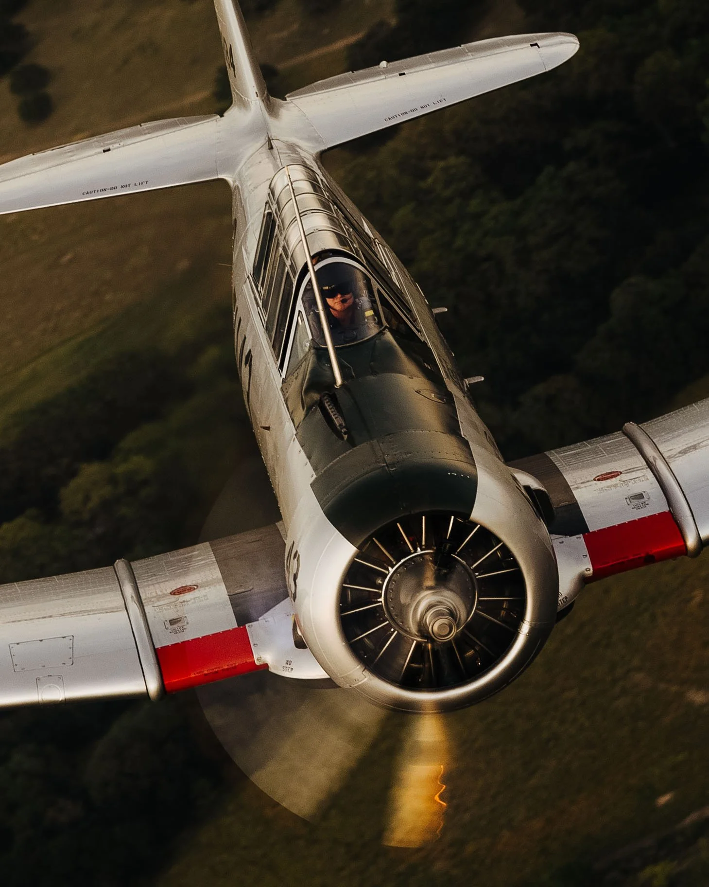 T-6 Texan — Lewis Air Legends